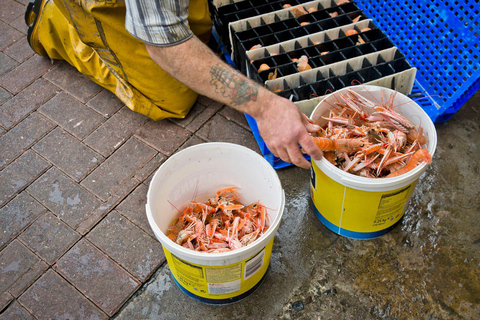 From Glasgow: Lochs, Castles & The West Highlands