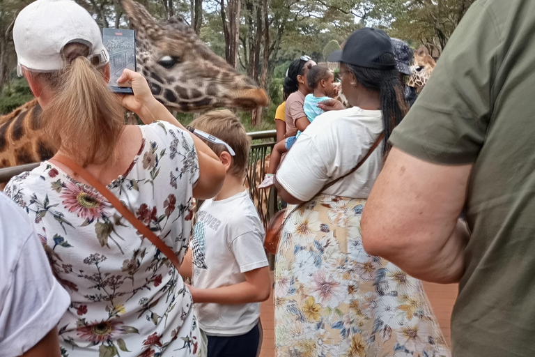 Nairobi: Meio dia de safari no Parque Nacional com guia