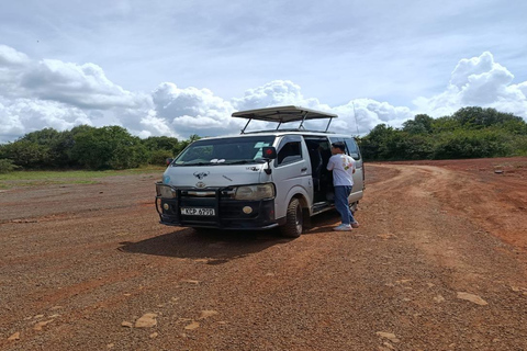 Masai Mara from Nairobi Transfer