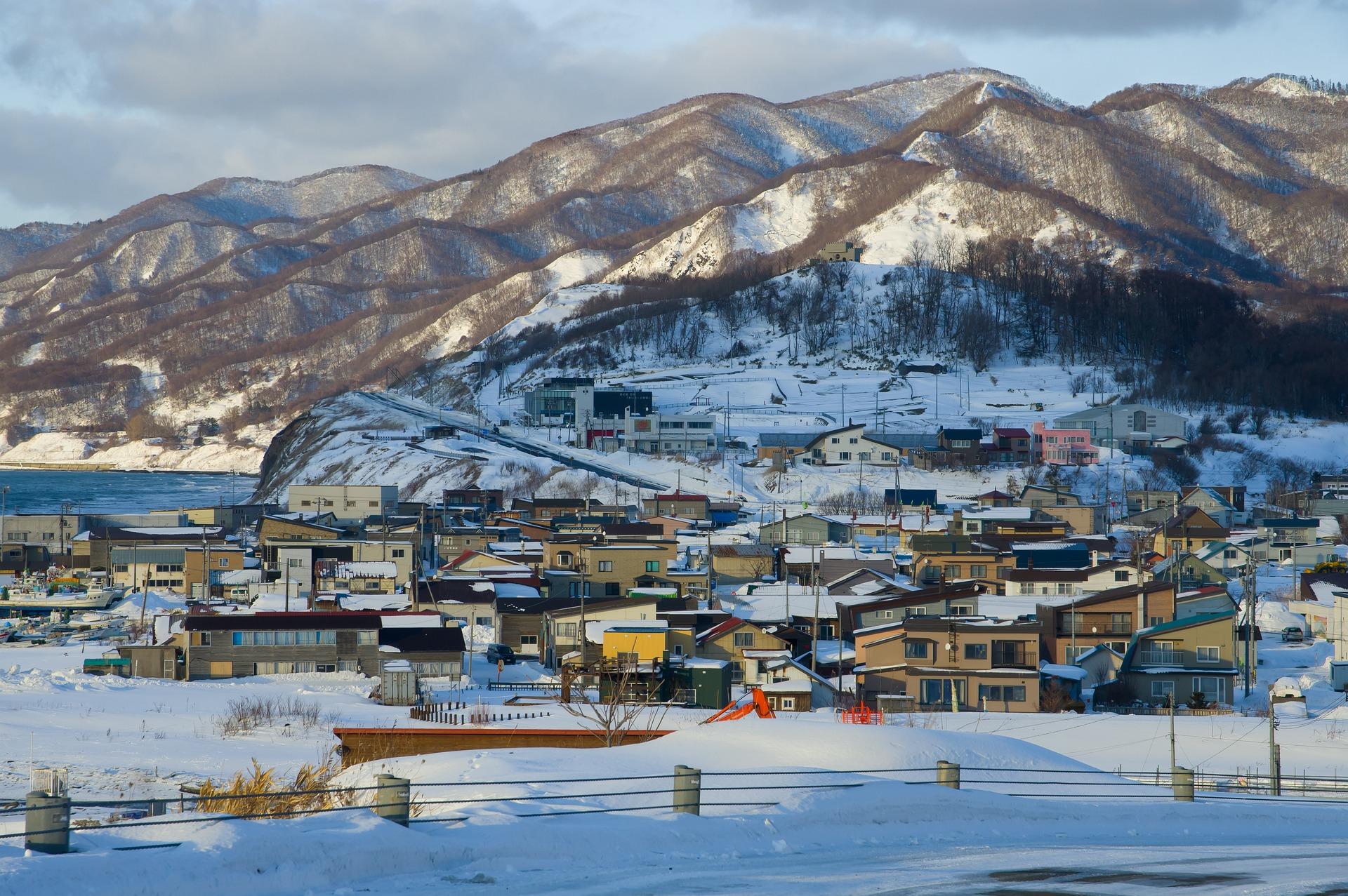 Von Sapporo: Private Tagestour nach Biei, Furano oder Asahikawa