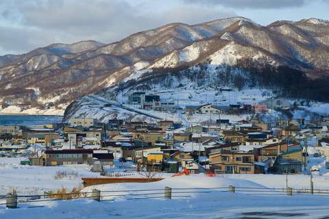 Tour di un giorno sugli sci di Hokkaido Niseko