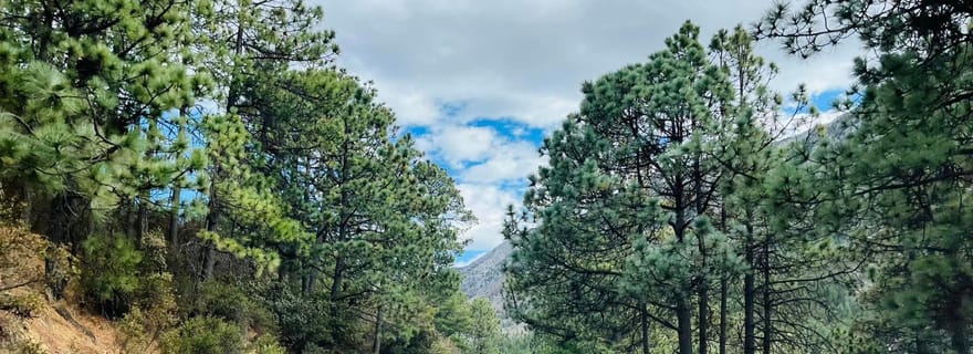 Visite « Arteaga Coahuila » + guide + transferts + billets