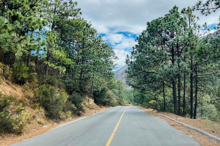 Wycieczka z przewodnikiem, transferem i biletami wstępu na wyprawę ArteagaMonterrey: Wycieczka z przewodnikiem po Arteaga, Coahuila