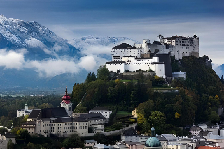 Vienna: giro in barca sul Traunsee, Hallstatt e tour in barca di Salisburgo