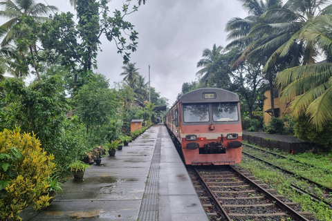 Colombo to Aberdeen Falls Train Tour with private vehicle