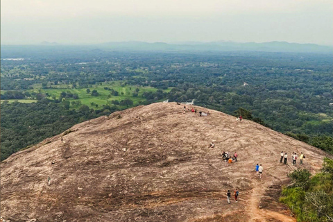 Minneriya National Park Safari & Pidurangala Sunset Hike