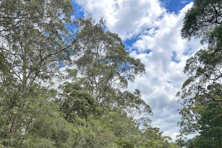 Yarra Valley: Självstyrt äventyr med flodtubing