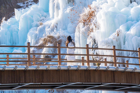 Seul: Eobi Ice Valley, Alpaca World, Ilha Nami e muito maisPasseio partilhado de bicicleta ferroviária, encontro na estação Hongik Univ
