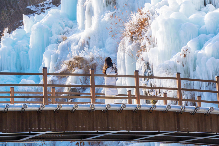 Seúl: Eobi Ice Valley, Alpaca World, isla de Nami y másExcursión compartida en bicicleta sobre raíles, encuentro en Myeongdong