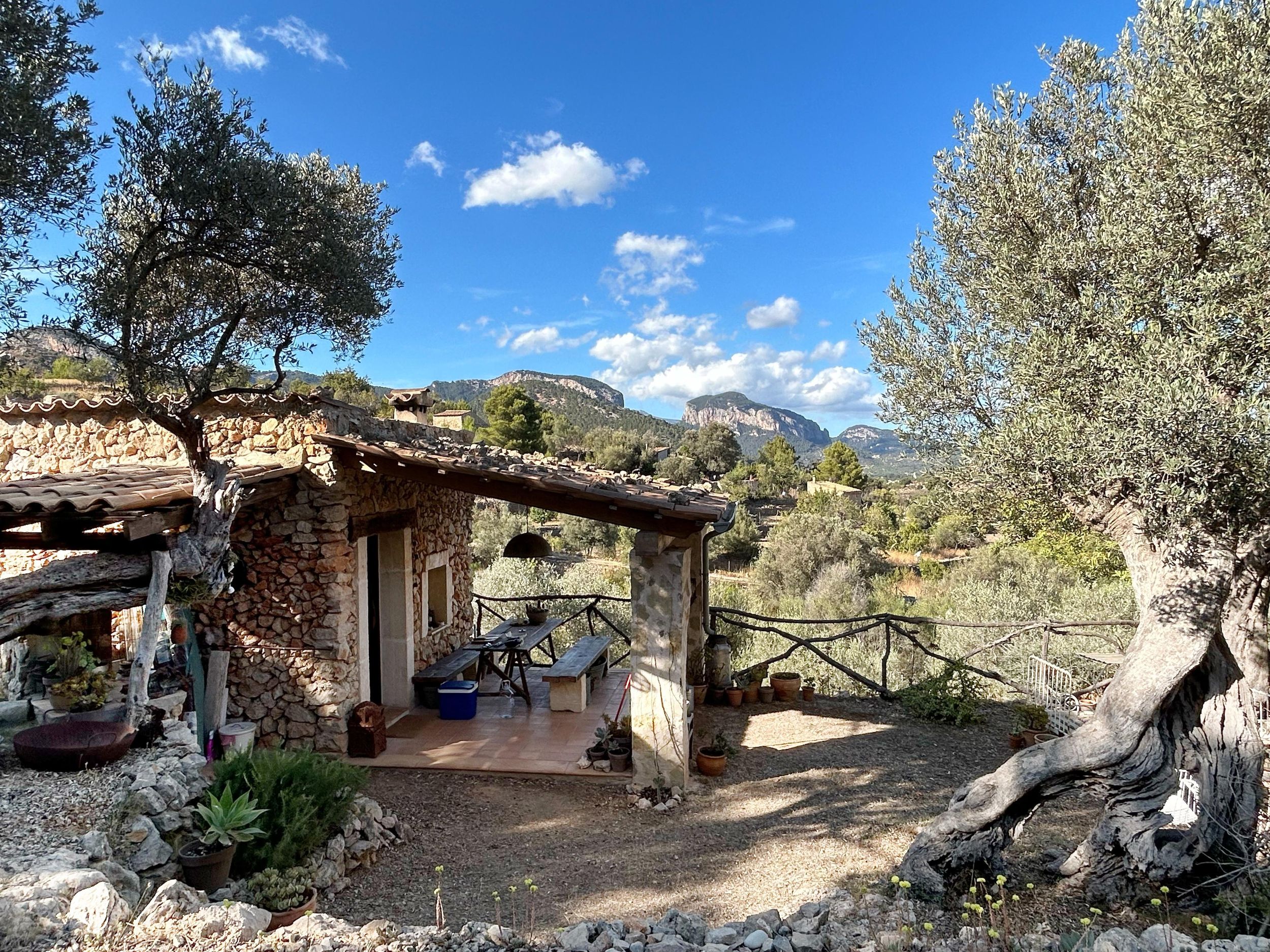 Mallorca: Keramikmalerei in einem versteckten Olivenhain