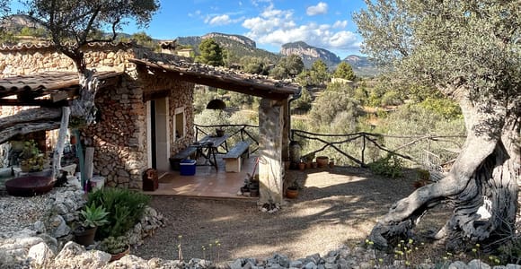 Mallorca: Keramikmalerei in einem versteckten Olivenhain
