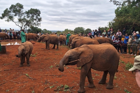 Bomas Of Kenya, parc national, éléphants et girafes, excursion d'une journée