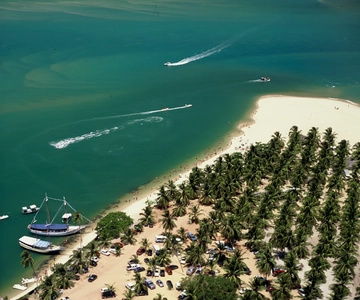Excursão de 1 Dia à Praia do Gunga saindo de Maceió