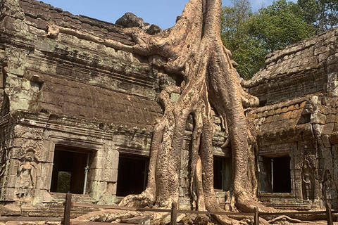 Siem Reap: Angkor Wat Sunrise Tour with Hotel Pickup
