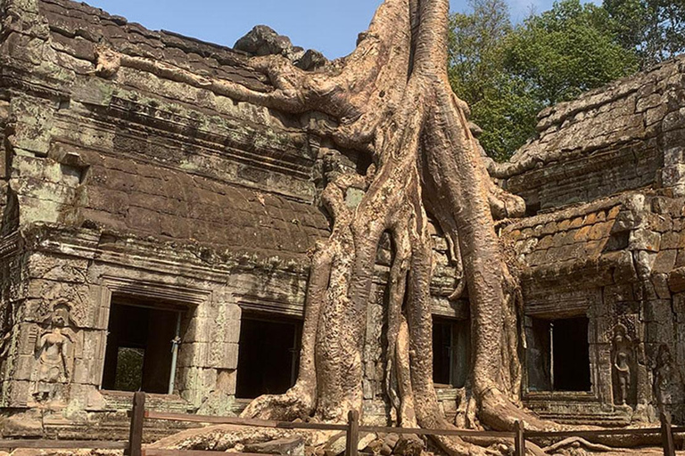 Siem Reap: Angkor Wat Sunrise Tour with Hotel Pickup