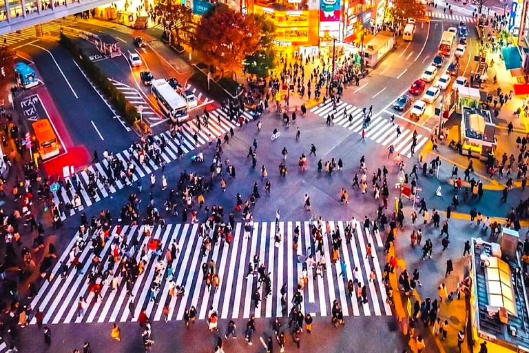 Tour privato di Tokyo personalizzabile con una guida