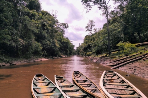 Depuis Iquitos || Naviguer sur le fleuve Amazone - Journée entière ||