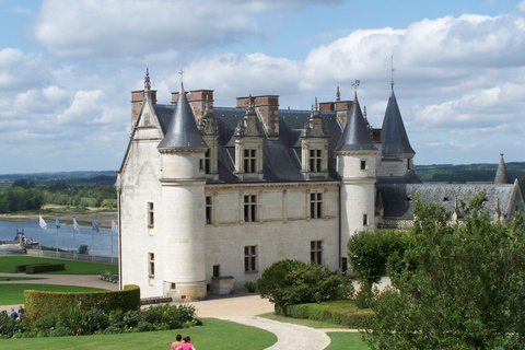 Prywatna wycieczka z Paryża do Chambord, Chenonceau i Amboise