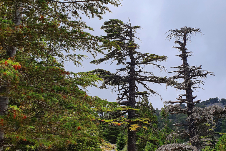 Hiking Tour At The Taurus Mountains of Alanya Meeting Point At The Bus Staion of Alanya (Otogar)