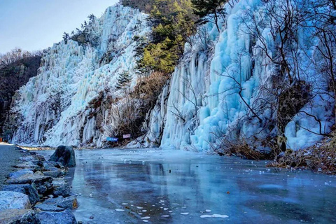 釜山：国民疗养公园和清松私人出租车之旅国民疗养公园和比叟山休闲森林