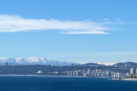 Casablanca: Private Wine Tour at Estancia El Cuadro, Valparaíso, Viña del Mar