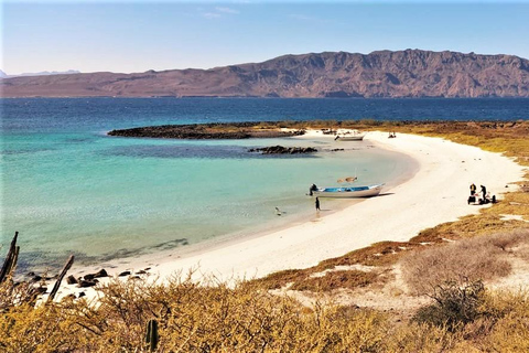 Coronado Island and Snorkel Tour