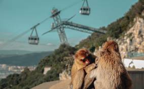 Gibraltar: Cable Car and Nature Reserve Entry Ticket