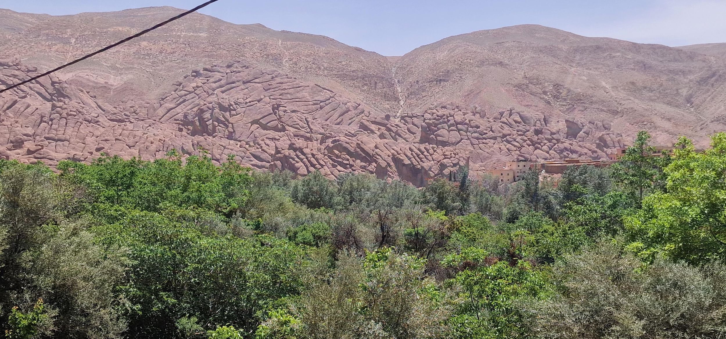 Ouarzazate: Dades-Schlucht & Rosental Tagestour