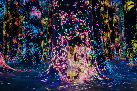 阿布扎比teamLab Phenomena门票（可选接送服务）门票含单程私人接送服务