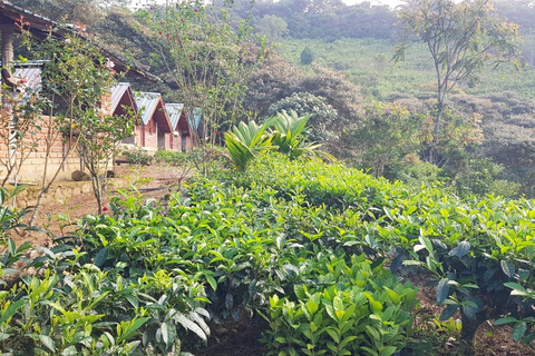 纳克尔斯峰探险和希洛亚村露营 2 日游