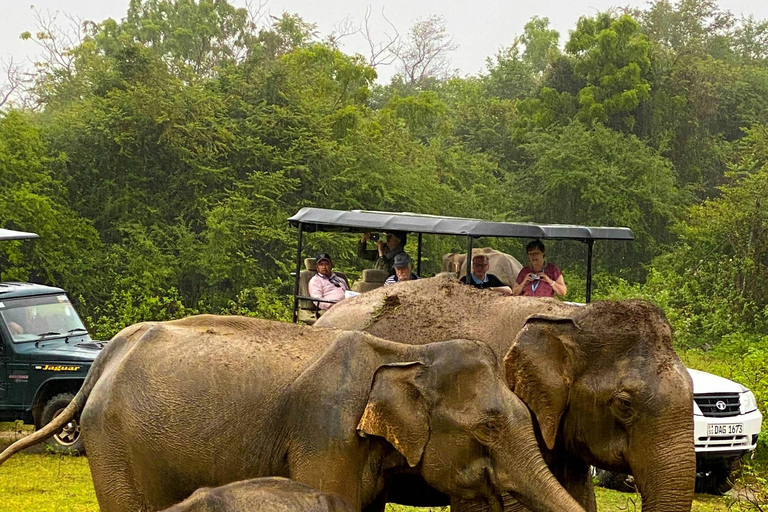 Tarangire : safari d&#039;une journée au parc national de Tarangire avec la fauneTarangire : Journée de safari au parc national de Tarangire avec la faune
