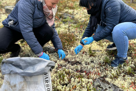 Levi: Höstvandring och besök på renfarmHöstvandring och besök på renfarm