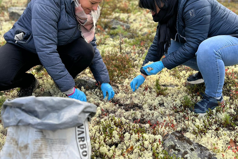 Levi: Höstvandring och besök på renfarmHöstvandring och besök på renfarm