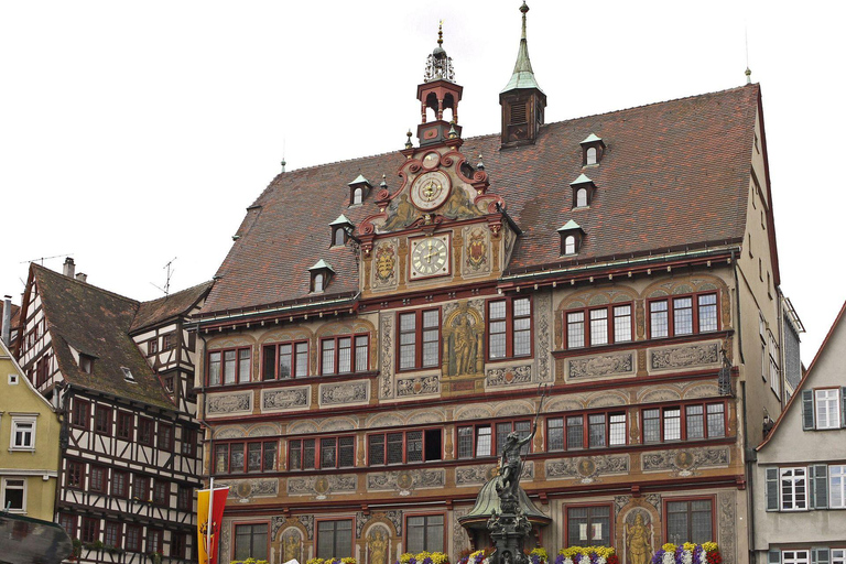 Tübingen: Passeio a pé com guia particular