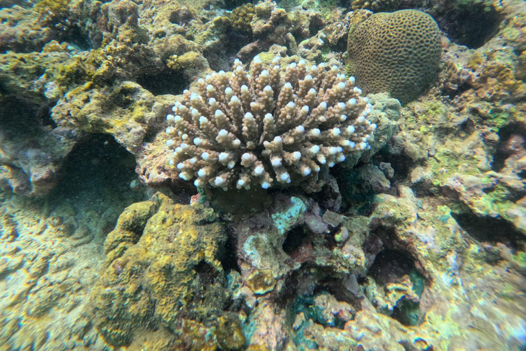 Hiriketiya: Coastal Boat Ride & Guided Snorkeling Tour