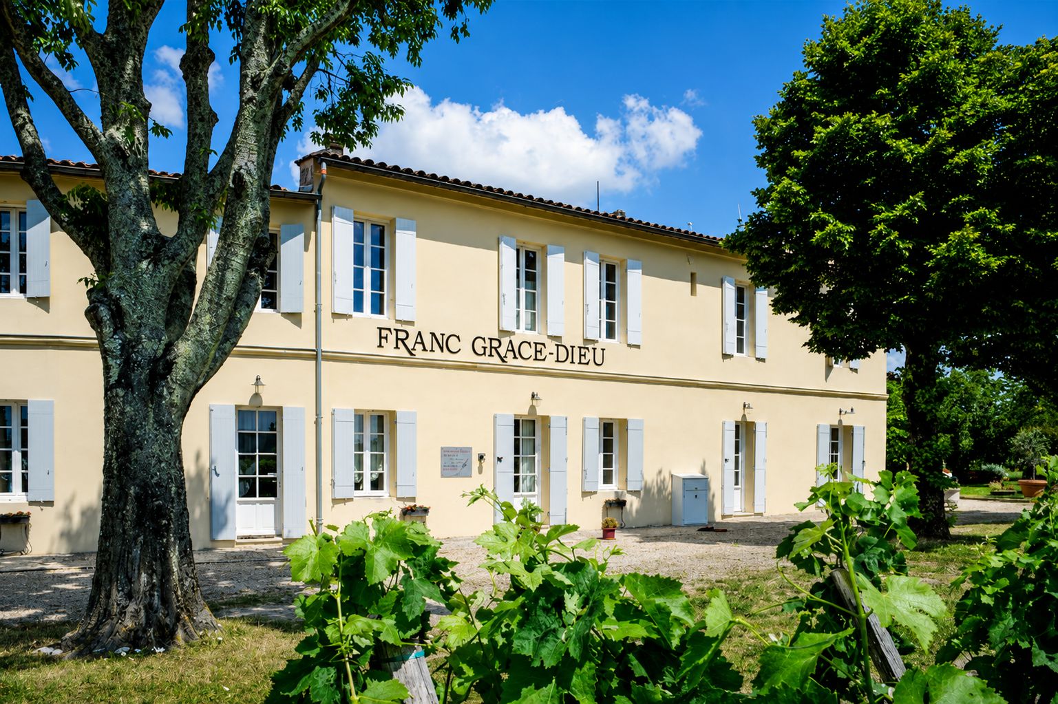 Saint-Emilion: Besichtigung und Verkostung im Château Franc Grâce-Dieu