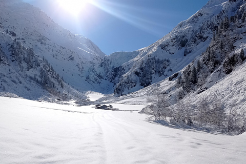 Innsbruck-Stubaital: raquetes de neve nas florestas do TirolNeustift, no vale do Stubai: raquetes de neve nas florestas do Tirol