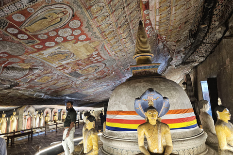 Depuis Kandy : Excursion d&#039;une journée à Sigiriya et Dambulla