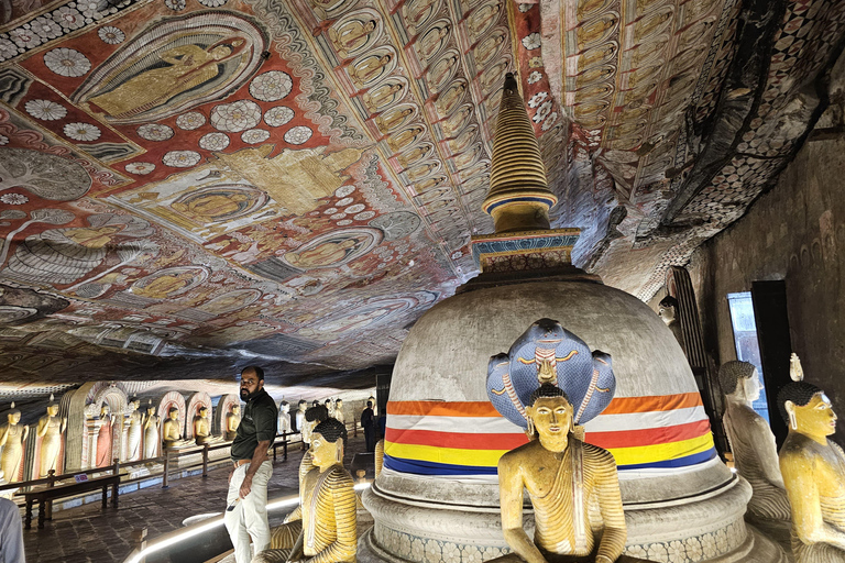 Depuis Kandy : Excursion d&#039;une journée à Sigiriya et Dambulla