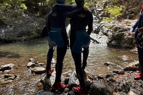 Madeira: Level 2 Canyoning Half Day Adventure