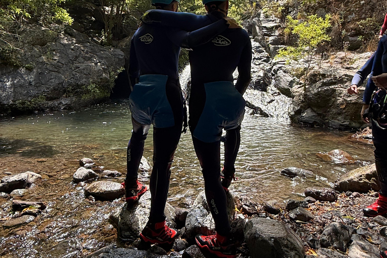 Madeira: Level 2 Canyoning Half Day Adventure