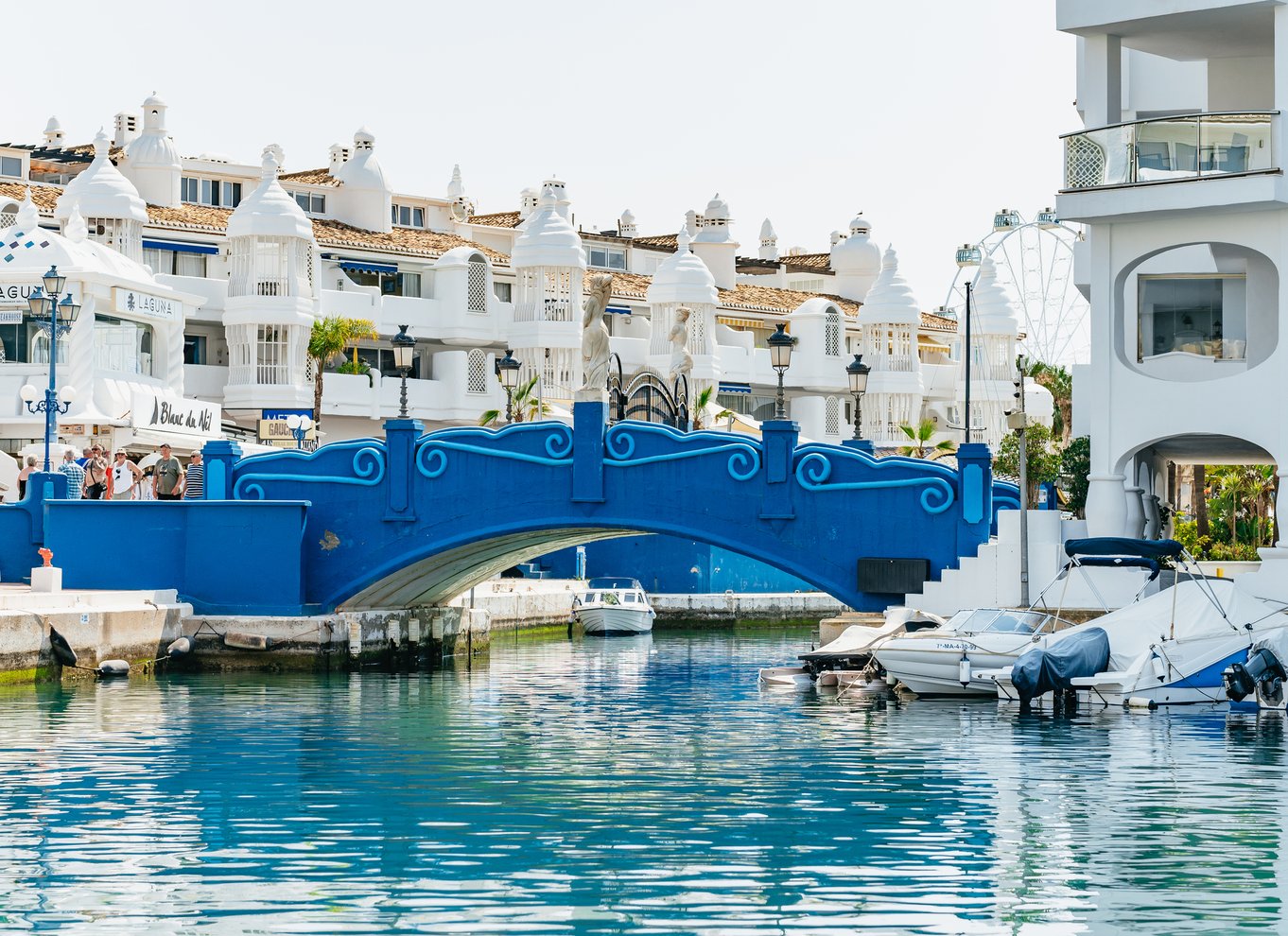 Malaga: Bådudlejning uden tilladelse til delfinsafari