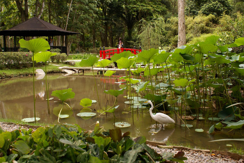 Rio: Jeep-Tour zum Botanischen Garten und Tijuca-WaldJeep Tour Botanischer Garten & Tijuca Wald