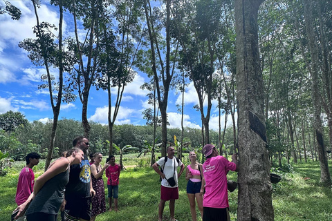 Krabi: Klong Root Kajak Aussichtspunkt, Fischfütterung und mehrProgramm D: Kajakfahren, Fischfütterung und Elefantenbad