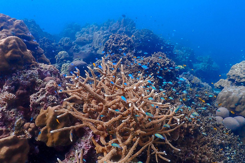 Z Phuket: wycieczka z rurką na wyspy SurinZ Phuket: wycieczka snorkelingowa na wyspy Surin