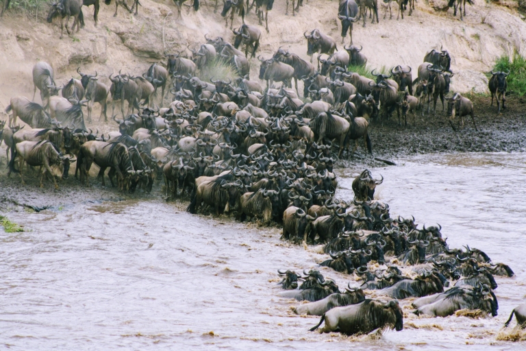 6 Day Great Serengeti Migration Safari
