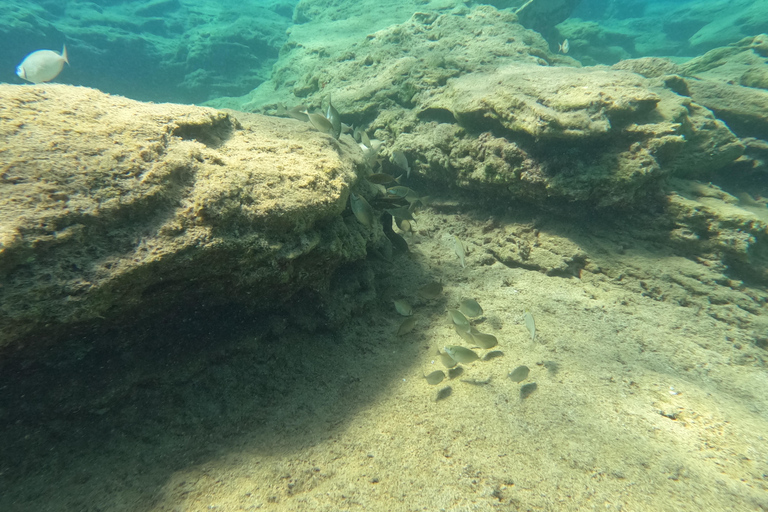 Heraklion: Scuba Diving Experience for Beginners Scuba diving course - without transfer