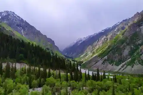 Bishkek: Ala Archa National Reserve halvdagstur med vandretur