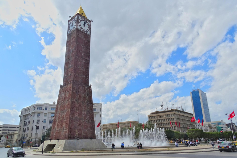 From Hammamet: Day trip to Tunis, Medina & Sidi Bou Saïd + Lunch From Hammamet: Day trip to Tunis, Medina & Sidi Bou Said + Lunch