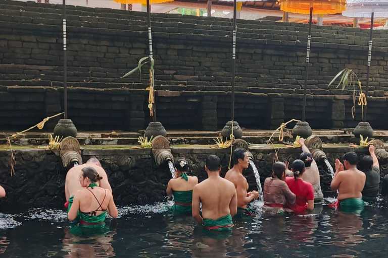 Ubud: Private Car Charter with Entry Fees Ubud Customizable Tour